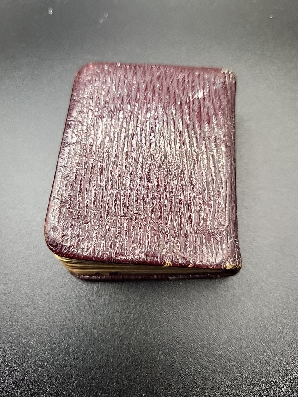 1905 Antique Sterling Silver Mounted Birthday Book W.J Holmes Hallmarked