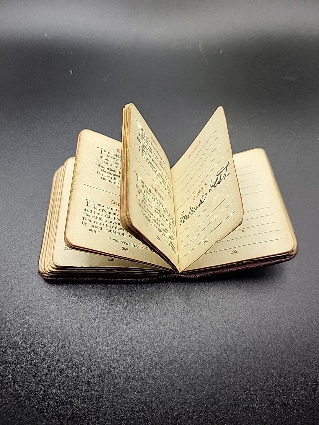 1905 Antique Sterling Silver Mounted Birthday Book W.J Holmes Hallmarked