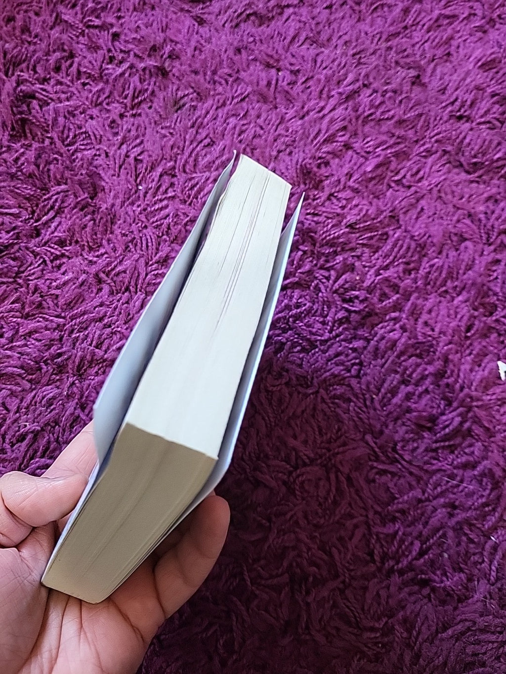 A Good Girl’s Guide to Murder – Holly Jackson – Crime Paperback YA