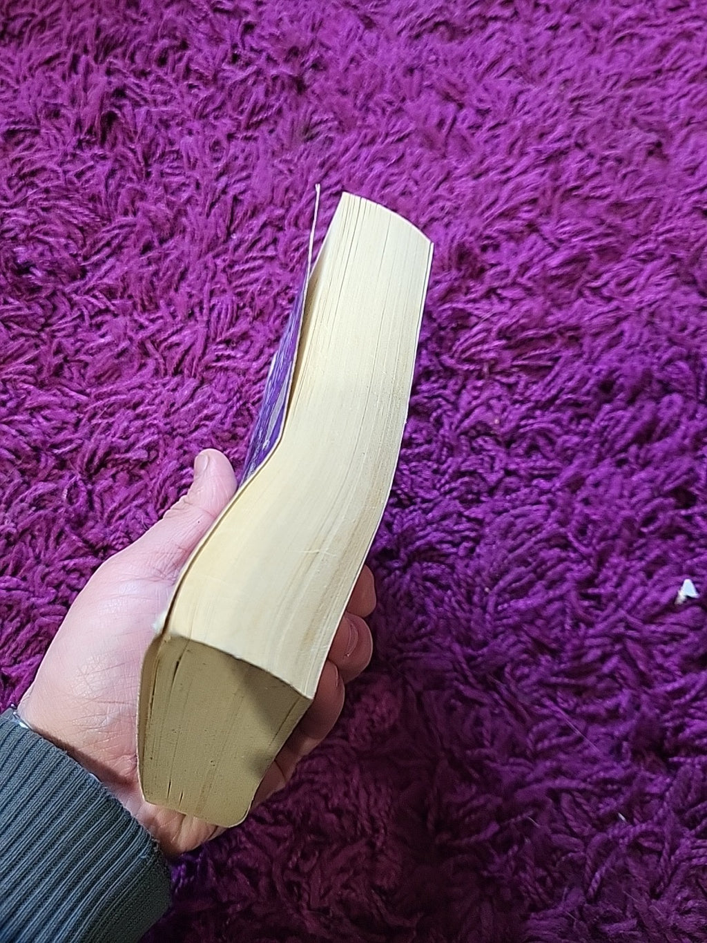 The Mermaids Singing – Val McDermid – Tony Hill Book 1 Paperback