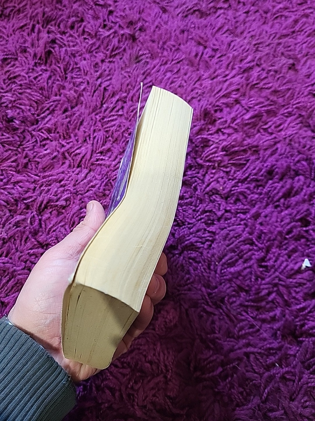 The Mermaids Singing – Val McDermid – Tony Hill Book 1 Paperback