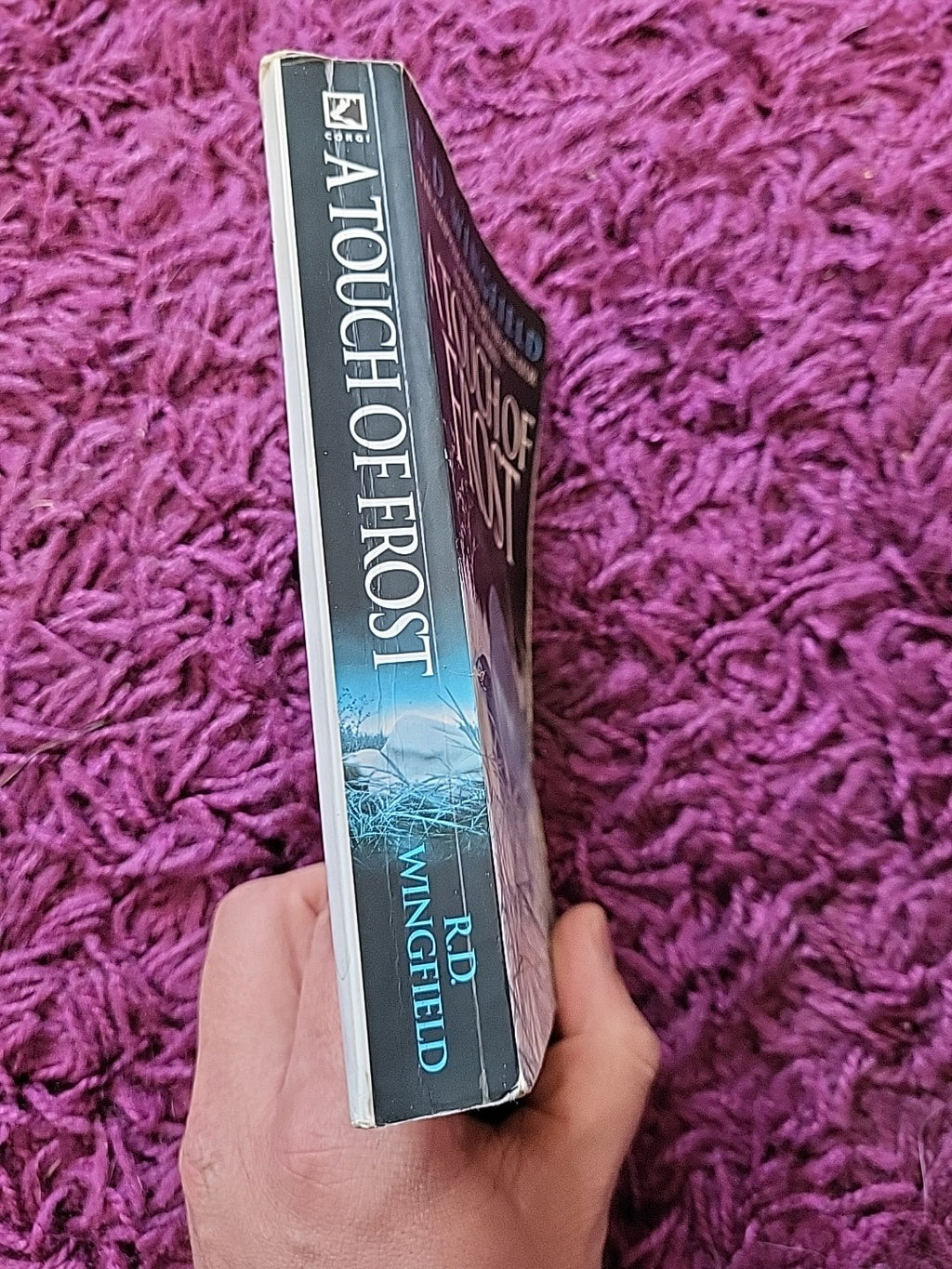 A Touch of Frost – R D Wingfield – DI Jack Frost Crime Paperback 1996