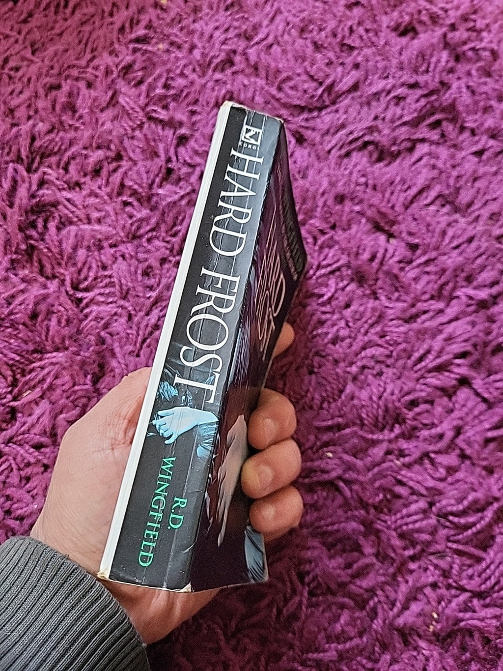 Hard Frost – R D Wingfield – DI Jack Frost Book 4 Crime Paperback