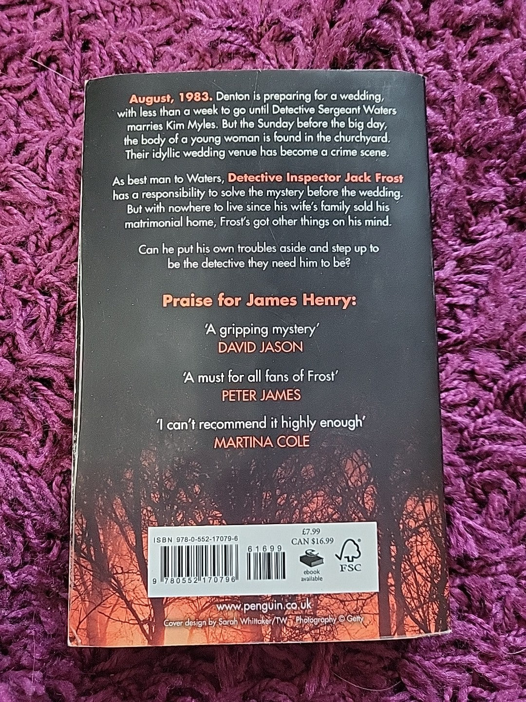 Frost at Midnight – James Henry – DI Jack Frost Thriller Paperback