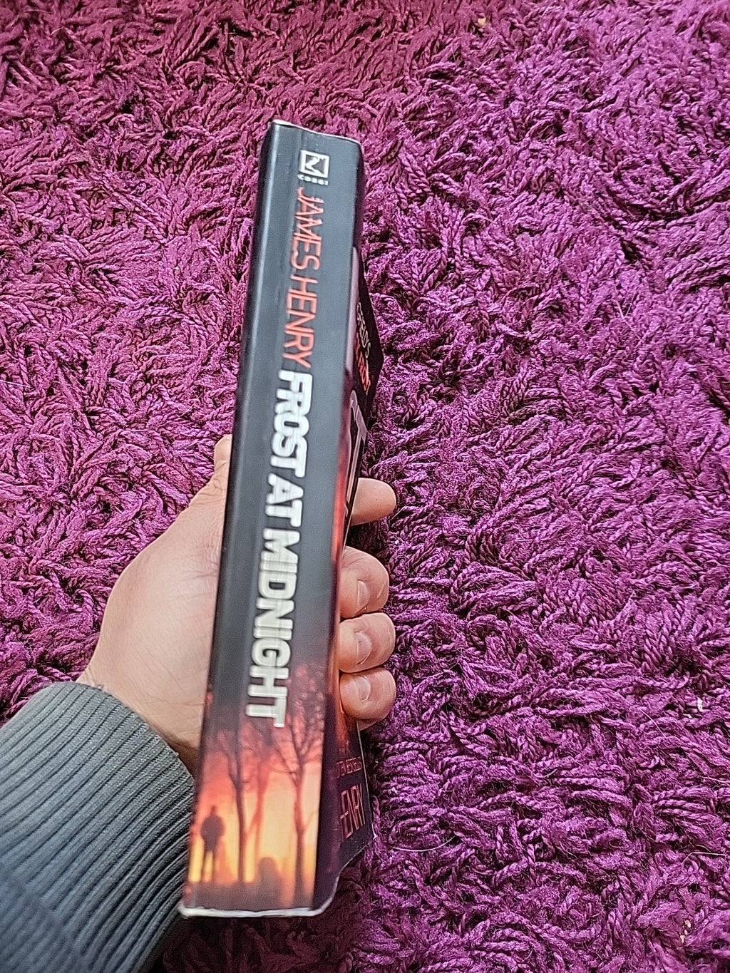 Frost at Midnight – James Henry – DI Jack Frost Thriller Paperback
