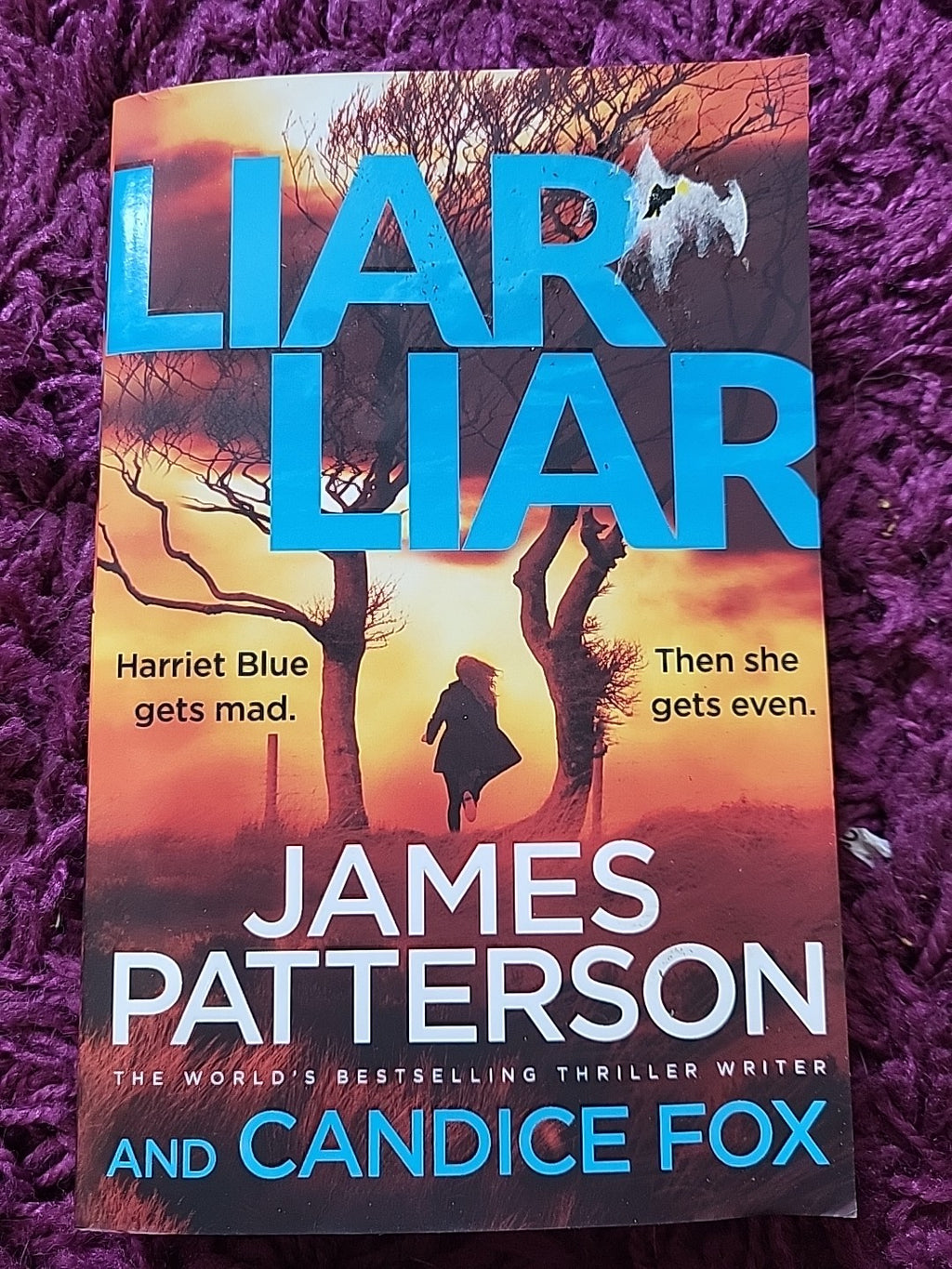 Liar Liar – James Patterson – Harriet Blue Thriller Paperback