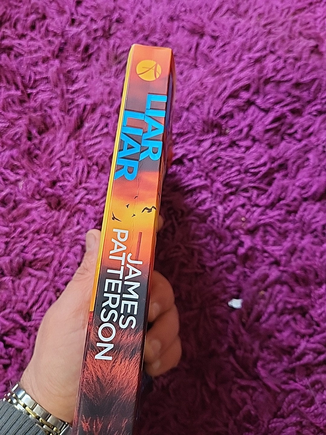 Liar Liar – James Patterson – Harriet Blue Thriller Paperback