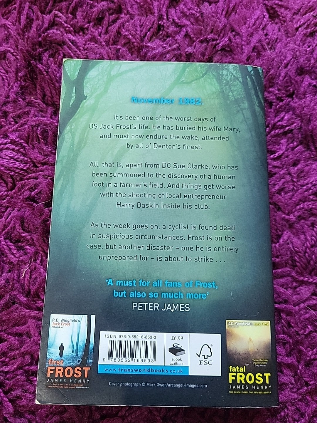 Morning Frost – James Henry – DI Jack Frost Thriller Paperback