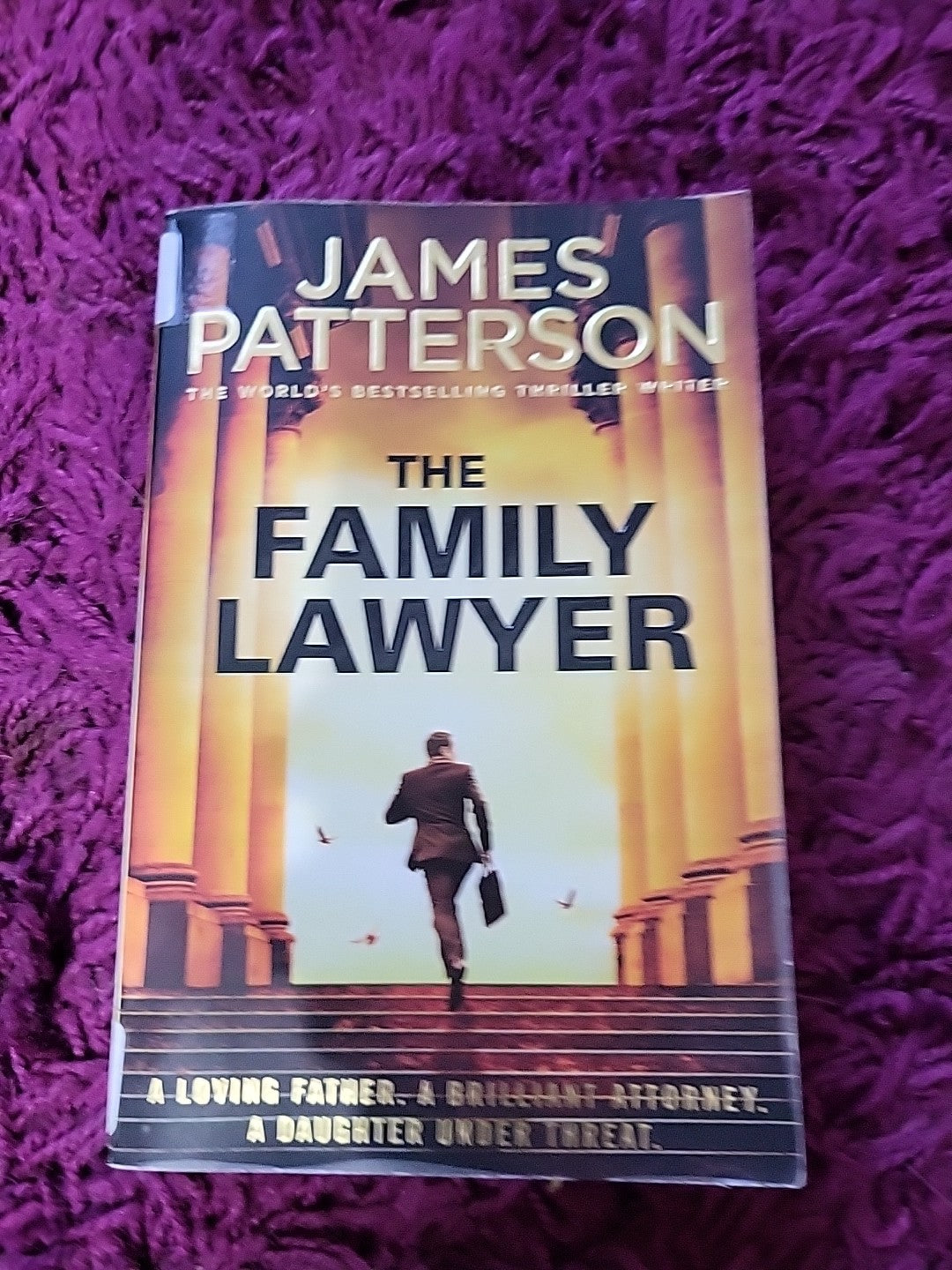 The Family Lawyer By James Patterson