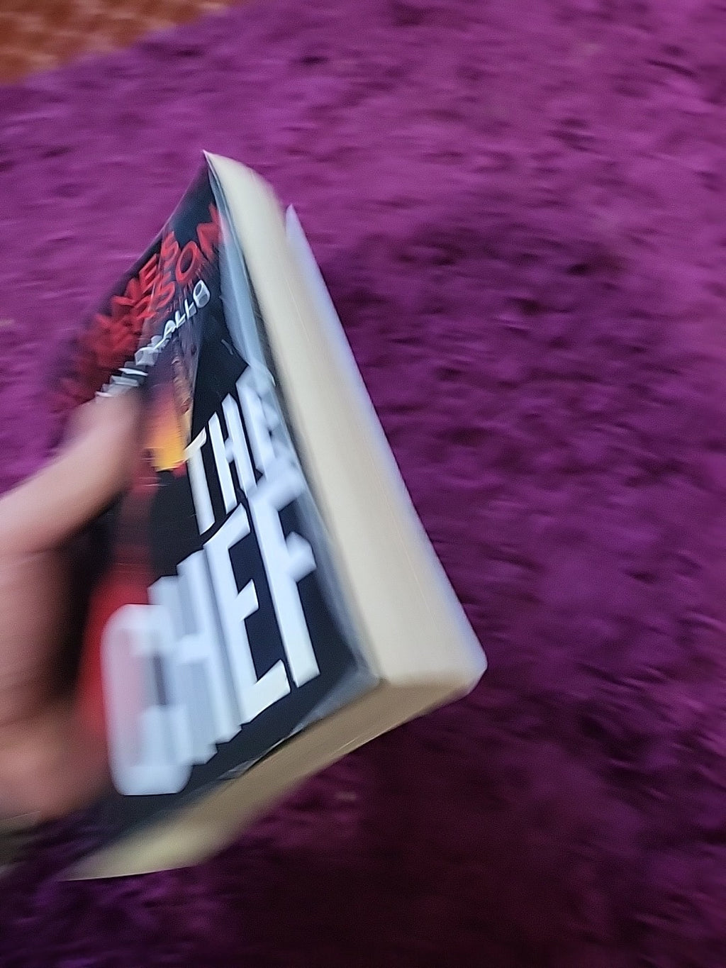 The Chef – James Patterson – Crime Thriller Paperback – Fast Dispatch