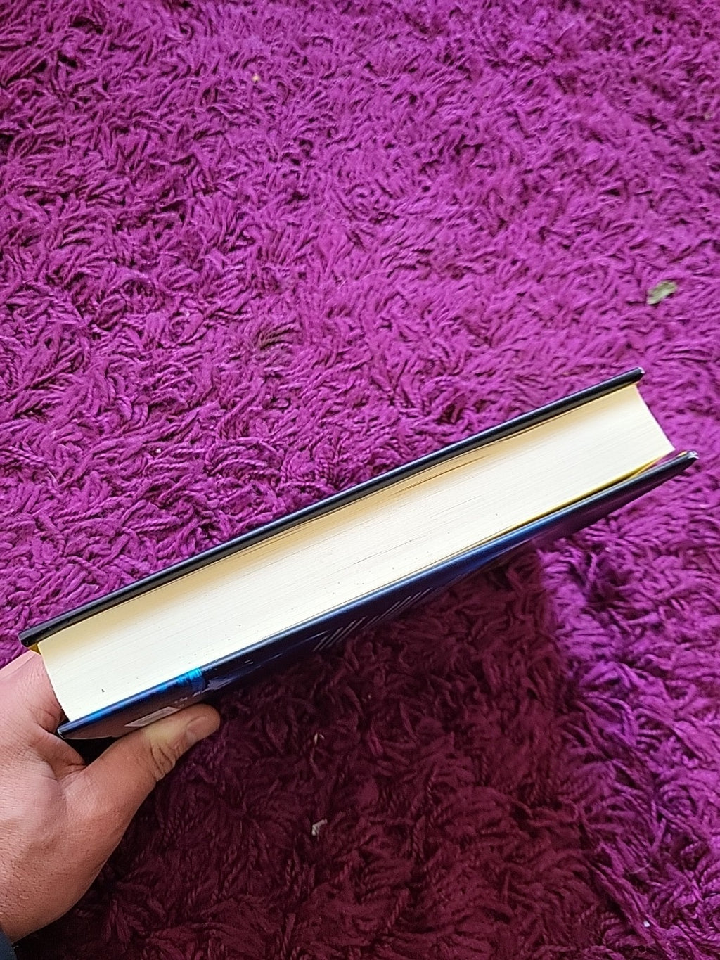 1st Case: It's her first case. It could be her last. - Patterson, James