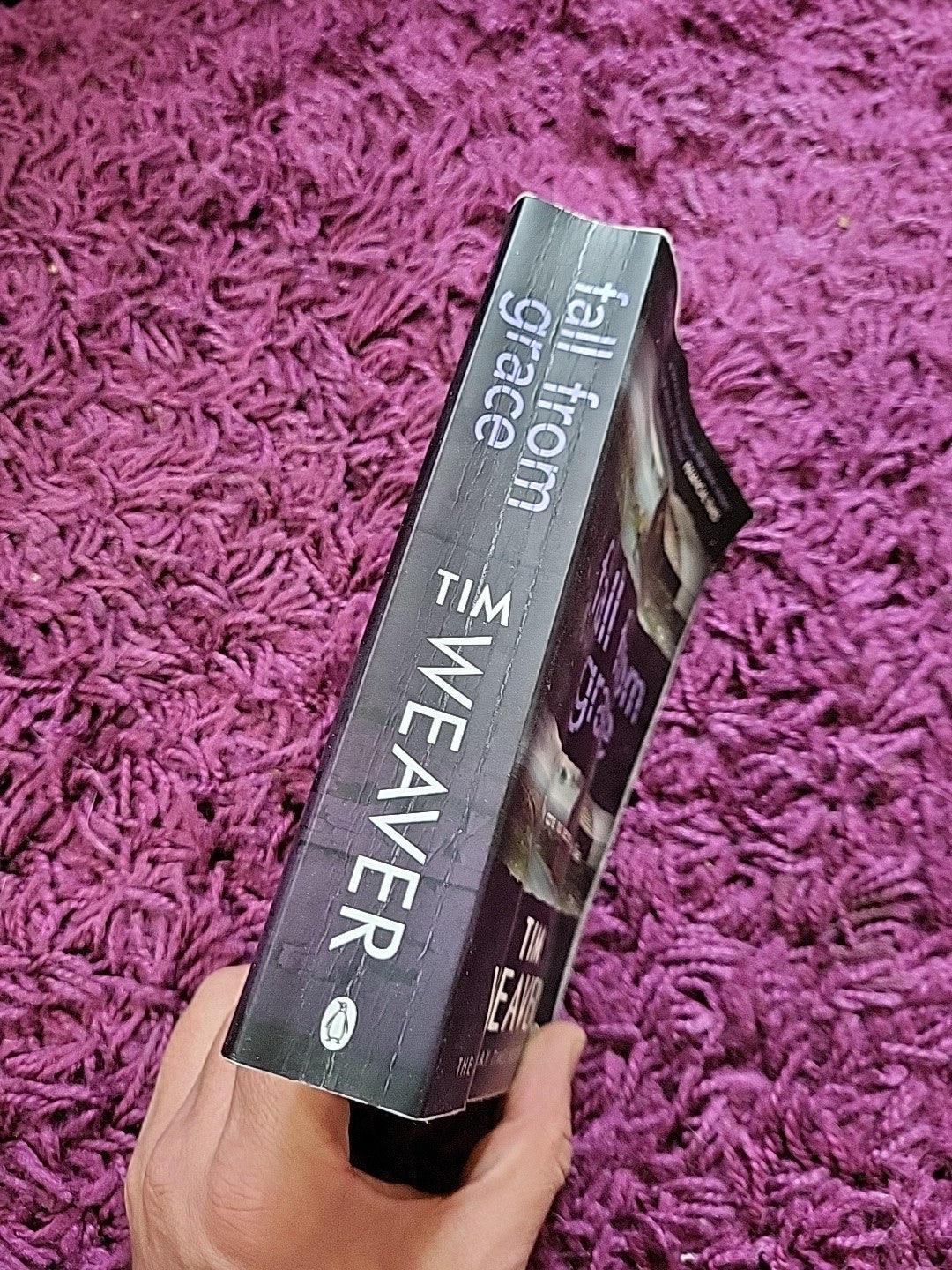 Fall From Grace: Her husband is missing . . . in this... - Weaver, Tim