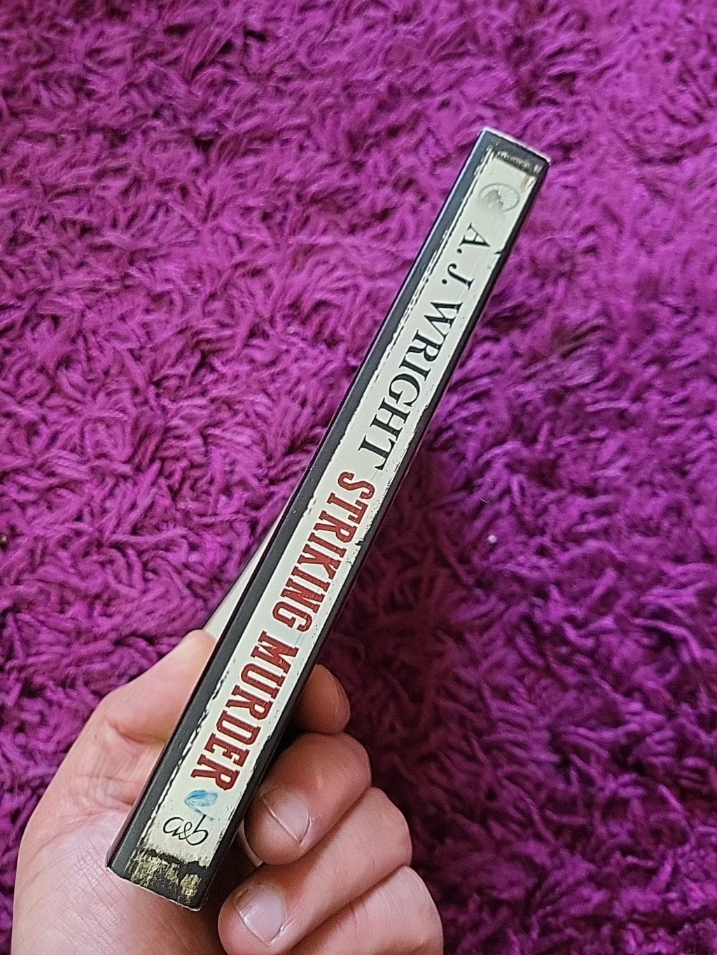Striking Murder by A. J. Wright (2016, Trade Paperback)