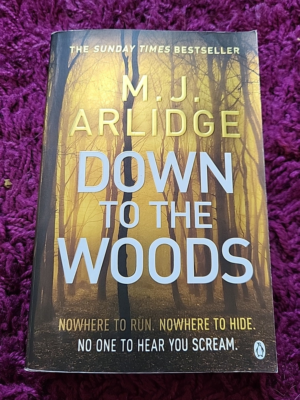 Down to the Woods : DI Helen Grace 8 by M. J. Arlidge (2019, Trade Paperback)